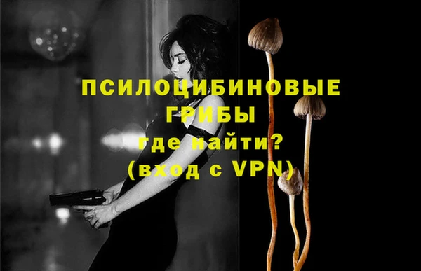 тгк Усмань