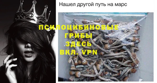 Альфа ПВП Коряжма