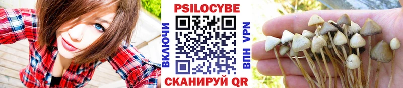 Галлюциногенные грибы Psilocybe mega онион Нефтеюганск как найти наркотики